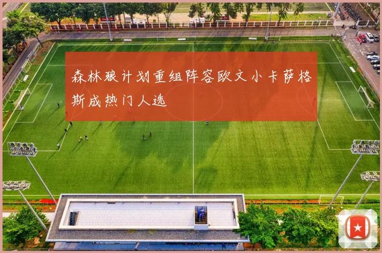 森林狼计划重组阵容欧文小卡萨格斯成热门人选