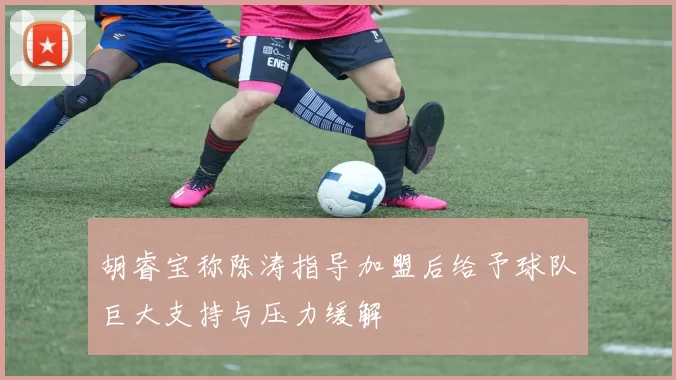 胡睿宝称陈涛指导加盟后给予球队巨大支持与压力缓解